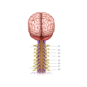 ilusmedical.com