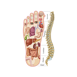 reflexology
