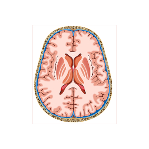 ilusmedical.com