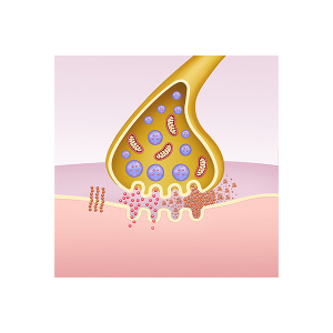 sinapsis y ovillos beta amiloides en alzheimer
