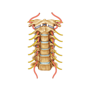 ilusmedical.com