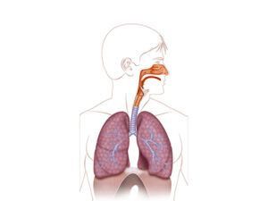 aparato de respiración