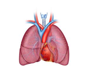 cardio pulmonar
