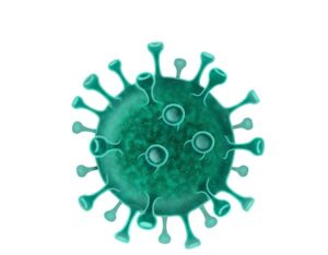 coronavirus covid 19