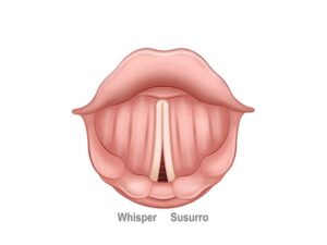 cuerdas vocales en susurro