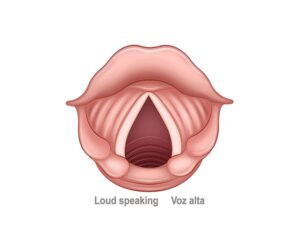 cuerdas vocales en respiración forzada