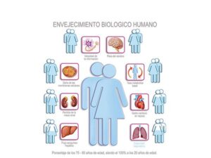 envejecimiento biologico hombre mujer