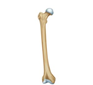 ilusmedical.com