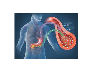 glucosa e insulina