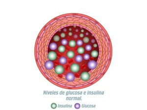 niveles glucosa e insulina