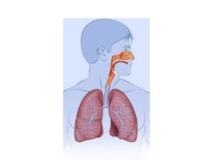 respiratorio