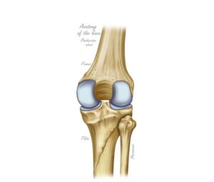 ilusmedical.com