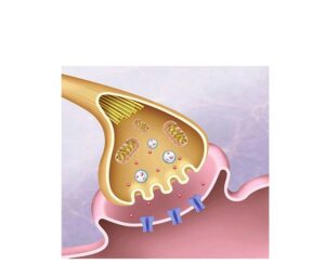sinapsis dopamina en parkinson