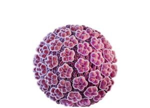 virus papilloma