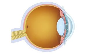 watery drainage of the eye