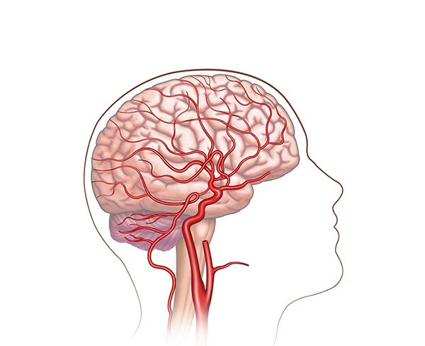flujo sanguíneo cerebral flujo sanguíneo cerebral
