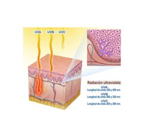 los rayos uva ,uvb y uvc
