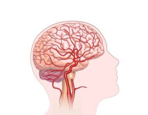 flujo sanguíneo cerebral