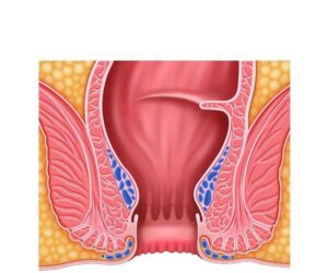 canal anal anatomía